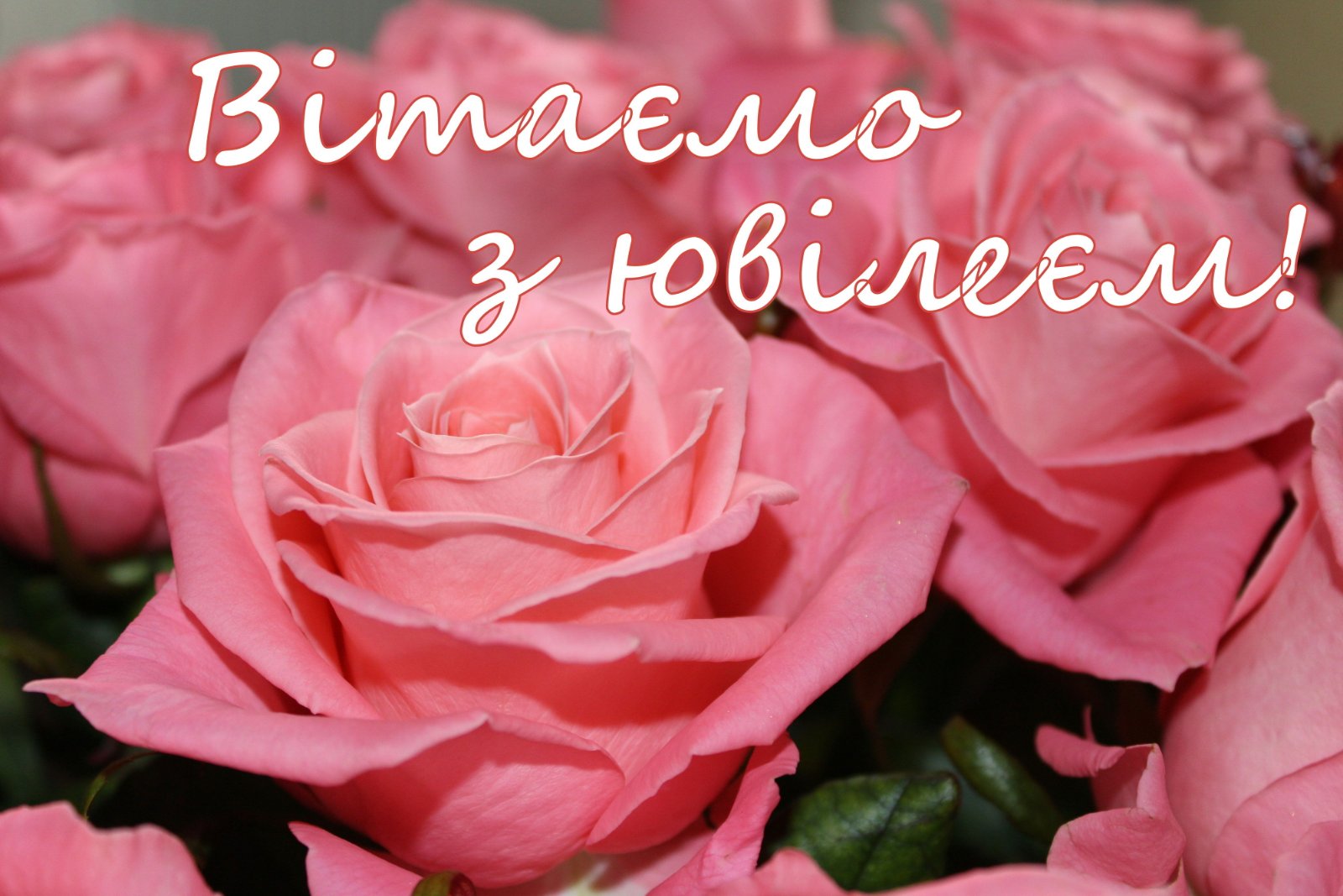 Вітаємо Олену Пруднікову!!!